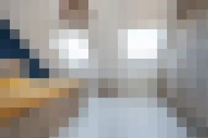 Diamant 20 Roelofarendsveen thumbnail 18