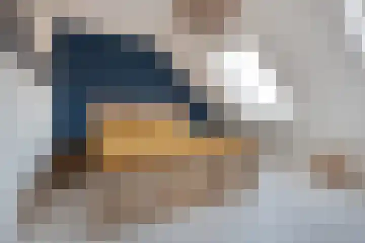 Diamant 20 Roelofarendsveen thumbnail 19