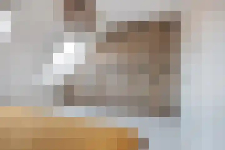 Diamant 20 Roelofarendsveen thumbnail 20