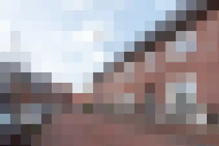 Diamant 20 Roelofarendsveen thumbnail 24