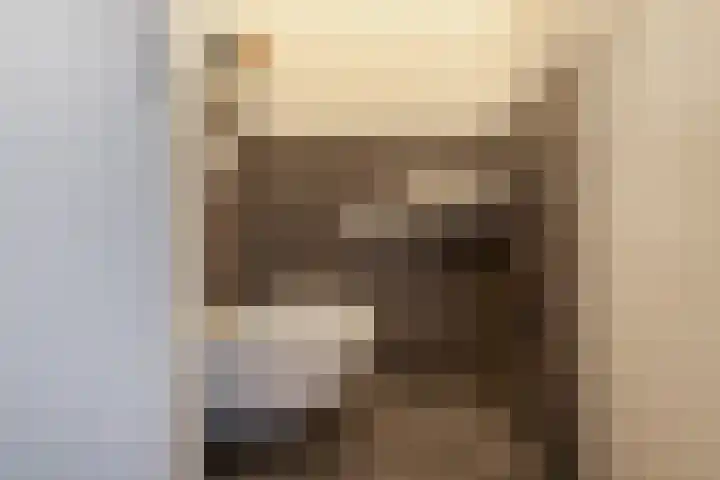 Diamant 20 Roelofarendsveen thumbnail 5