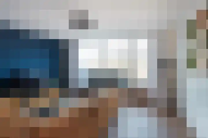 Diamant 20 Roelofarendsveen thumbnail 8