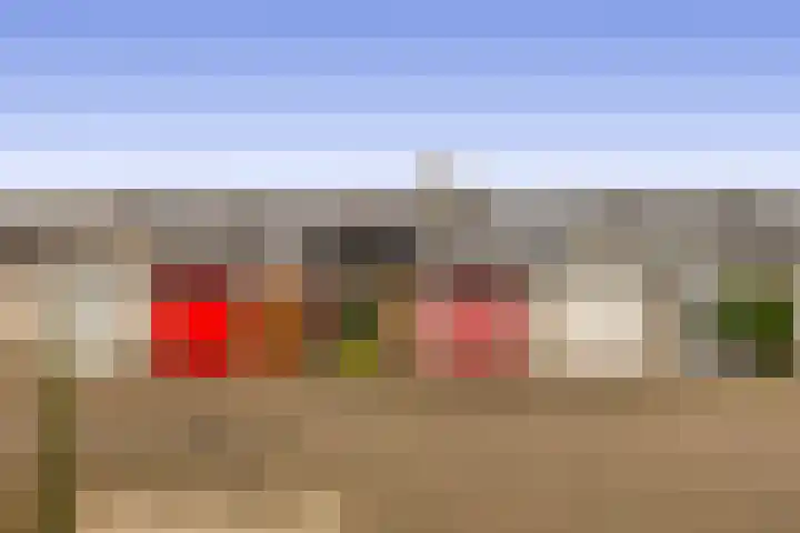 Diamant 23 Berkel en Rodenrijs