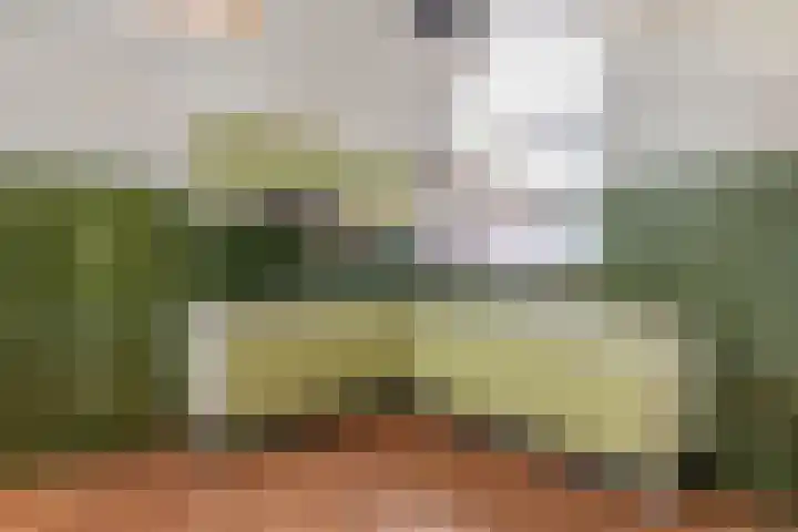 Diamant 23 Berkel en Rodenrijs thumbnail 16