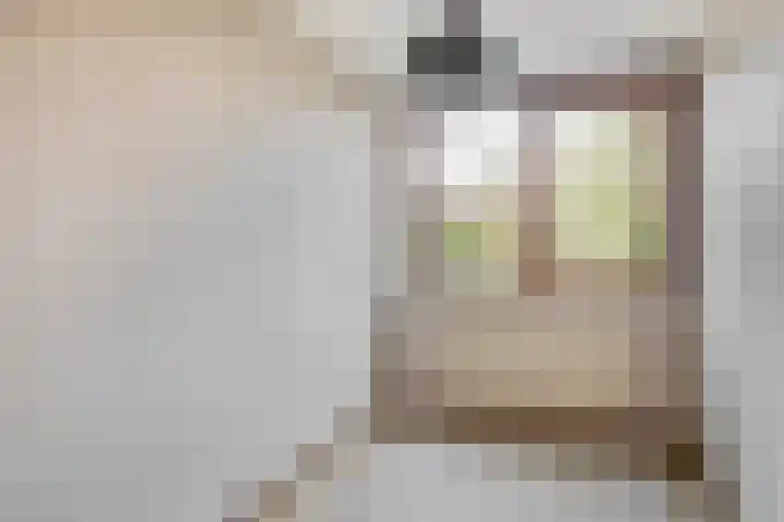 Diamant 23 Berkel en Rodenrijs thumbnail 24