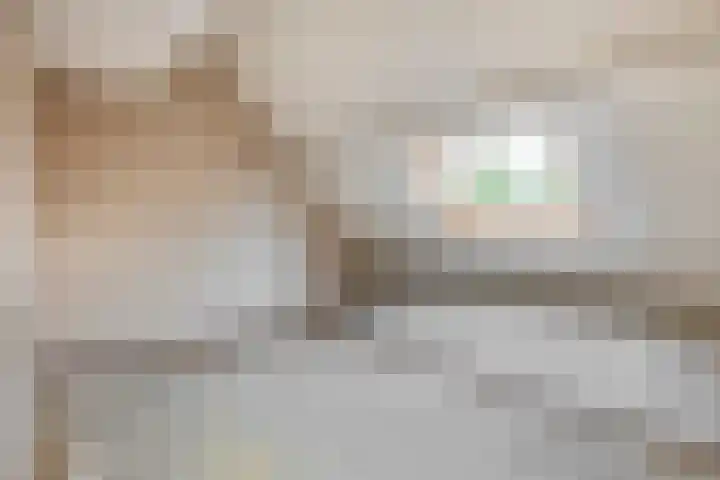 Diamant 23 Berkel en Rodenrijs thumbnail 25