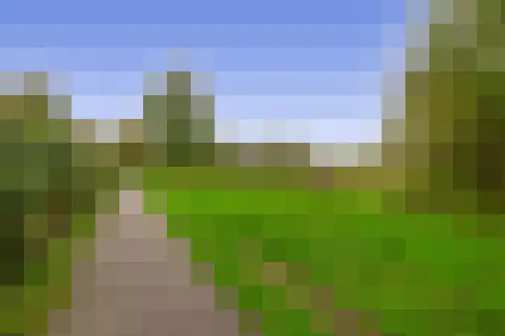 Diamant 23 Berkel en Rodenrijs thumbnail 26