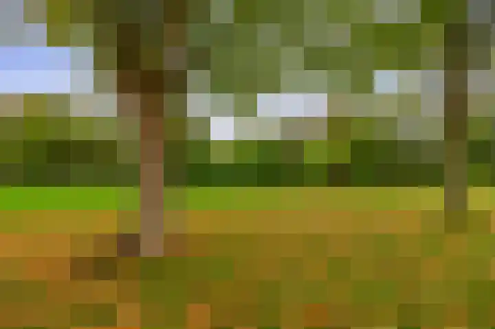 Diamant 23 Berkel en Rodenrijs thumbnail 28