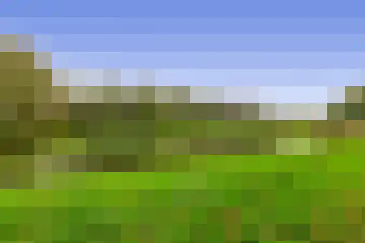Diamant 23 Berkel en Rodenrijs thumbnail 29