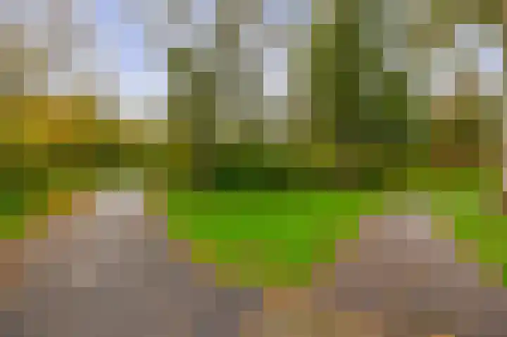 Diamant 23 Berkel en Rodenrijs thumbnail 30