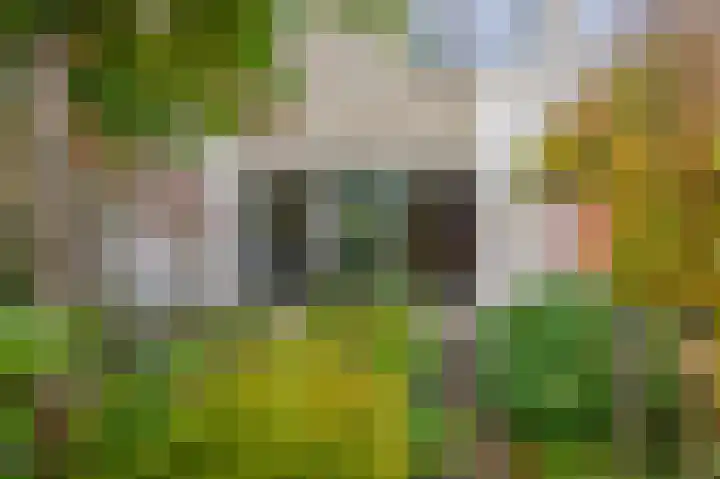 Diamant 23 Berkel en Rodenrijs thumbnail 31
