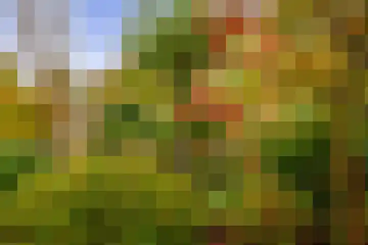 Diamant 23 Berkel en Rodenrijs thumbnail 33