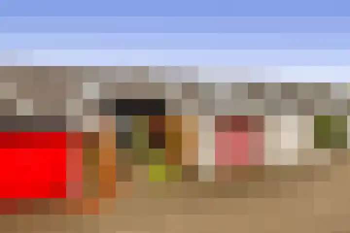 Diamant 23 Berkel en Rodenrijs thumbnail 5