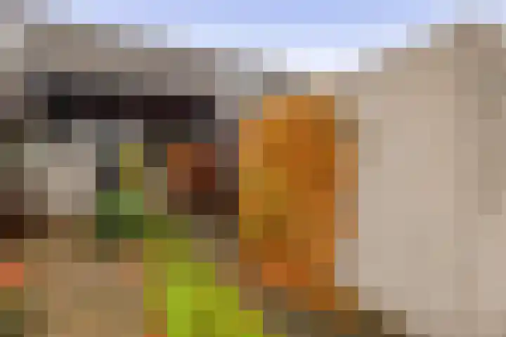 Diamant 23 Berkel en Rodenrijs thumbnail 7