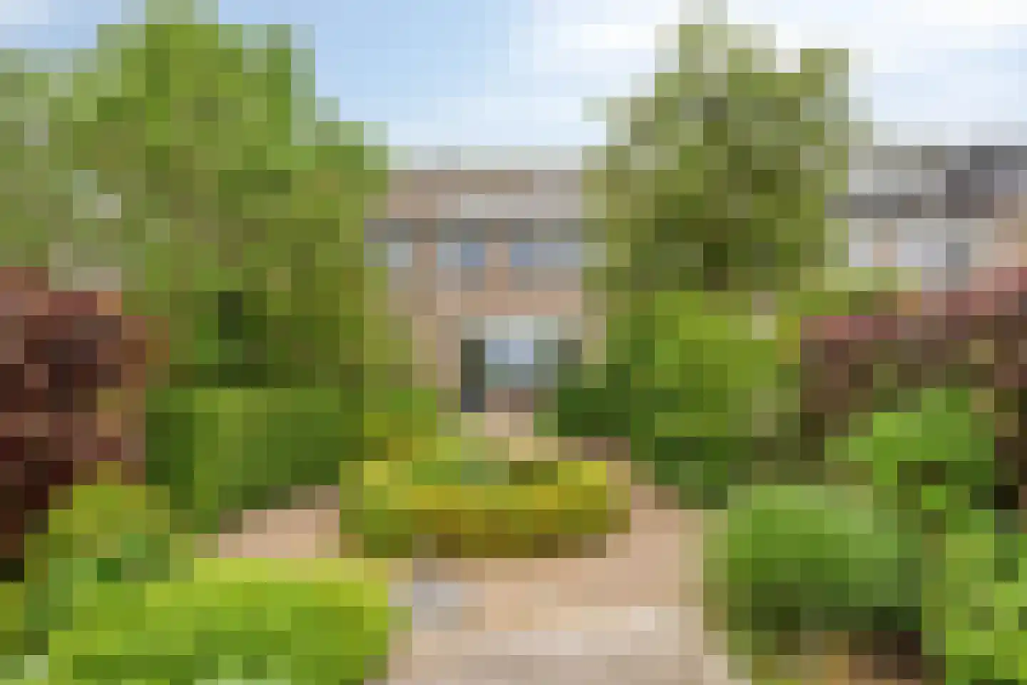 Diamant 23 Mijdrecht thumbnail 30