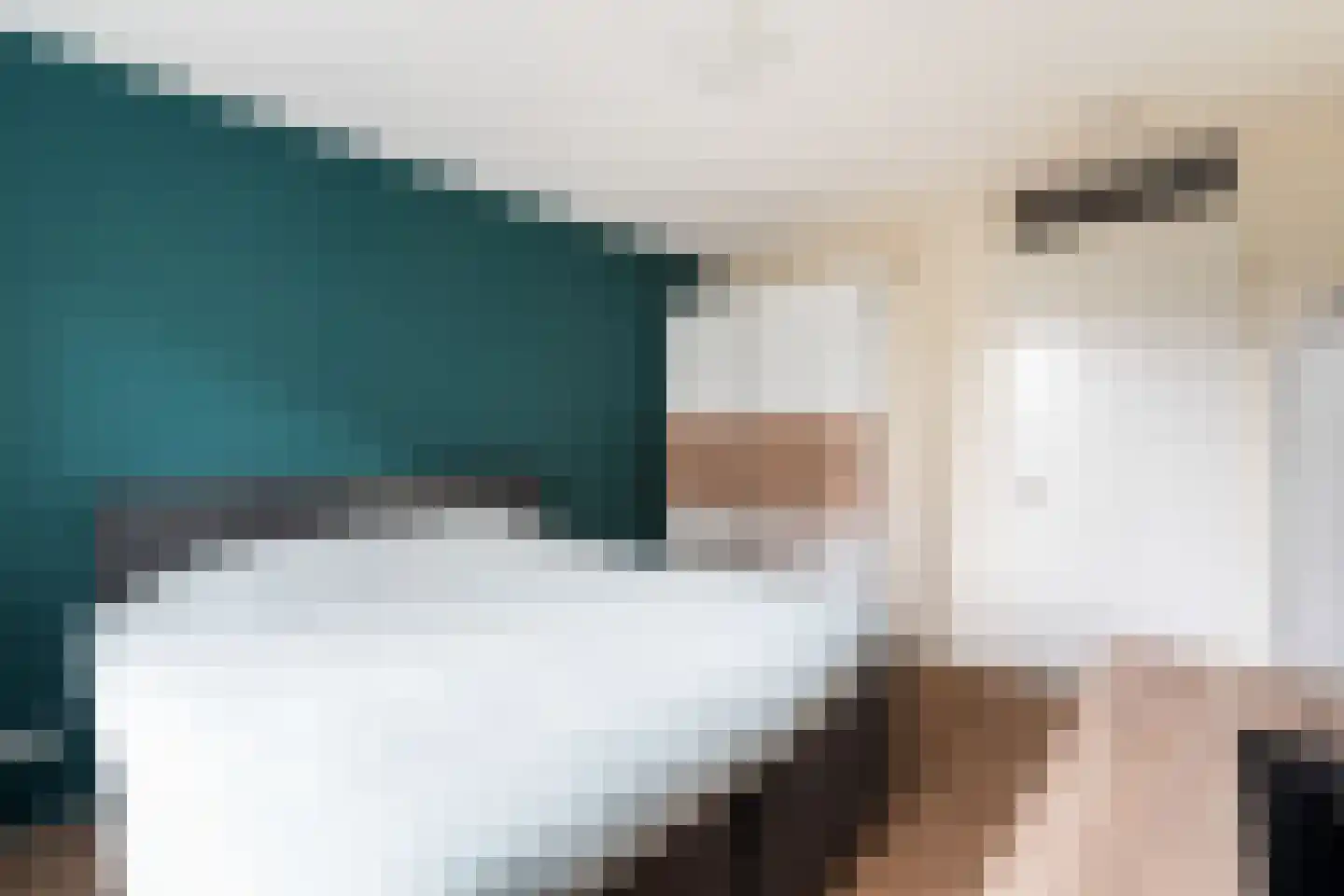 Diamant 30 Roelofarendsveen thumbnail 9