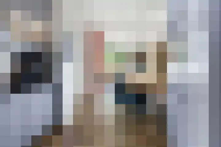 Diamant 31 Berkel en Rodenrijs thumbnail 13