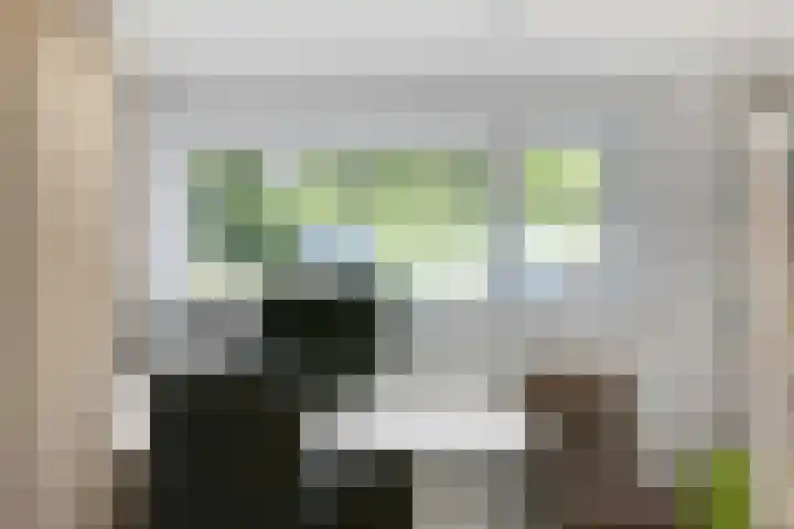 Diamant 31 Berkel en Rodenrijs thumbnail 15