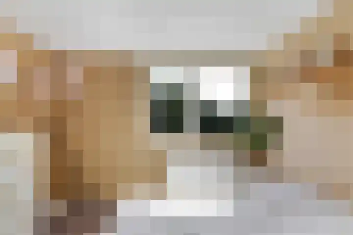 Diamant 31 Berkel en Rodenrijs thumbnail 21