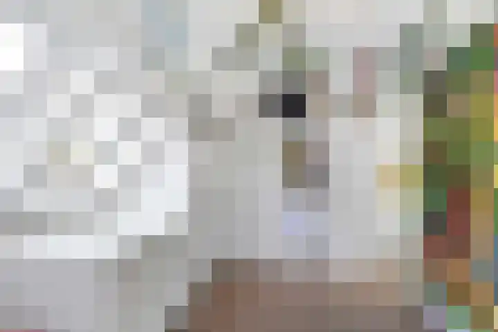 Diamant 31 Berkel en Rodenrijs thumbnail 26