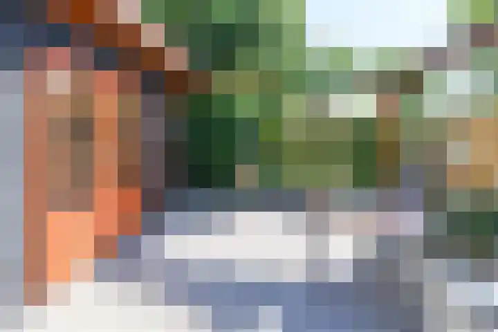 Diamant 31 Berkel en Rodenrijs thumbnail 33