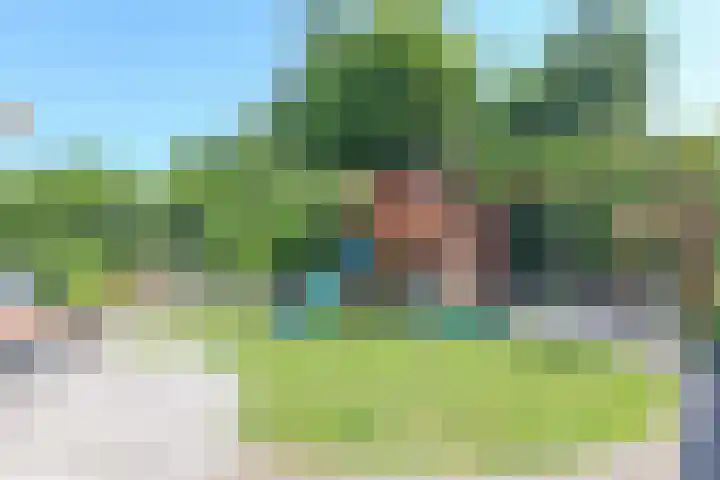 Diamant 31 Berkel en Rodenrijs thumbnail 6