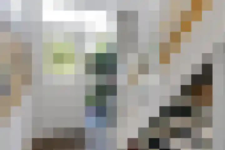 Diamant 31 Berkel en Rodenrijs thumbnail 7