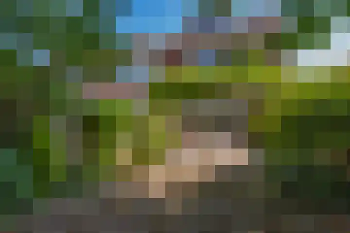 Diamant 34 's-Gravenzande thumbnail 5