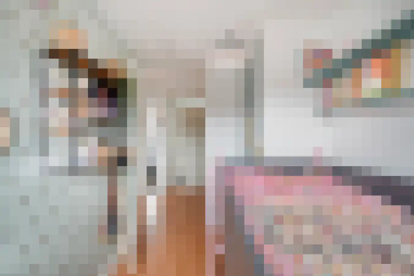 Diamant 38 Anna Paulowna thumbnail 21