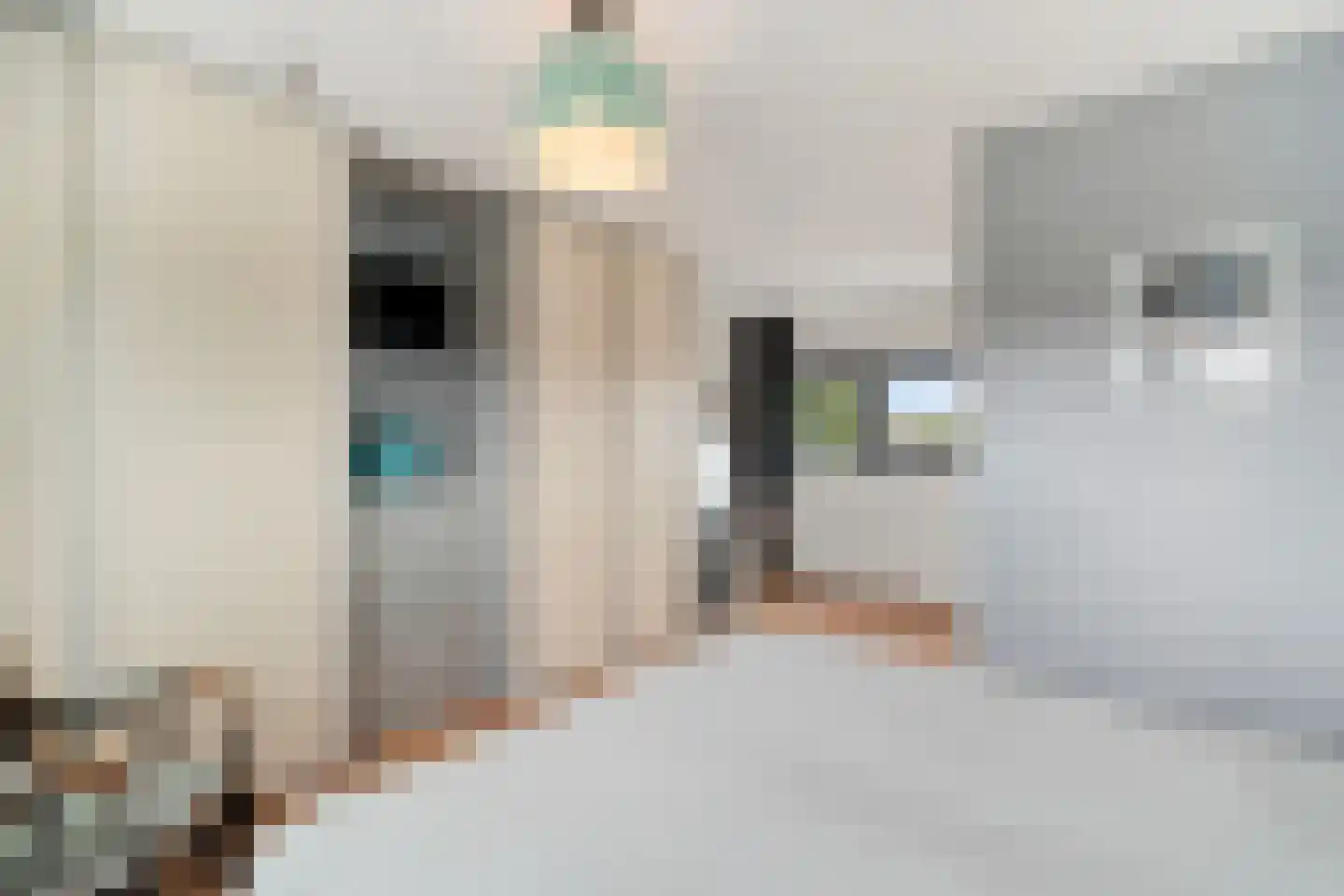 Diamant 38 Anna Paulowna thumbnail 27