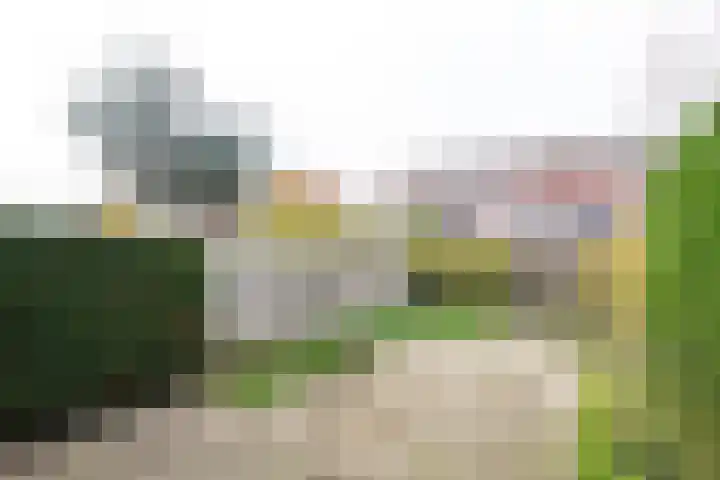 Diamant 40 Heerhugowaard thumbnail 42