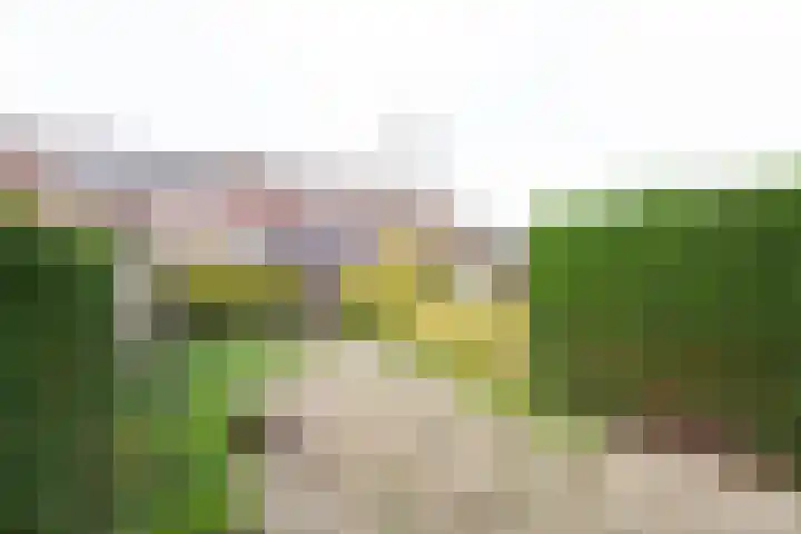 Diamant 40 Heerhugowaard thumbnail 43