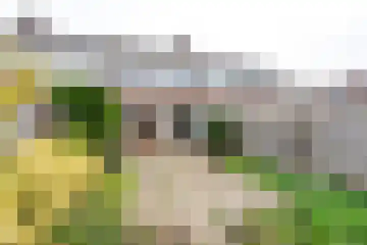 Diamant 40 Heerhugowaard thumbnail 44