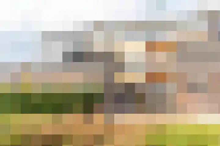 Diamant 40 Heerhugowaard thumbnail 45