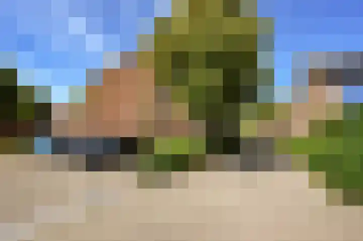 Diamant 42 's-Gravenzande thumbnail 35