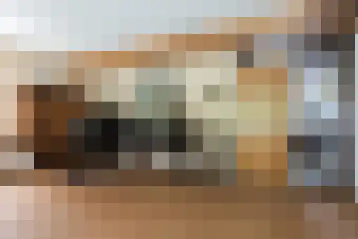 Diamant 5 Berkel en Rodenrijs thumbnail 20