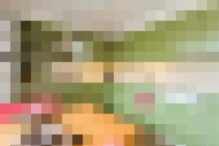 Diamant 5 Berkel en Rodenrijs thumbnail 23