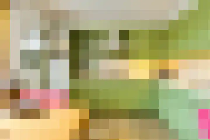 Diamant 5 Berkel en Rodenrijs thumbnail 24