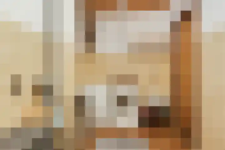 Diamant 5 Berkel en Rodenrijs thumbnail 28