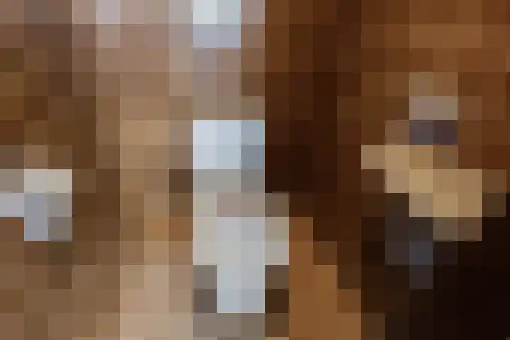 Diamant 5 Berkel en Rodenrijs thumbnail 30