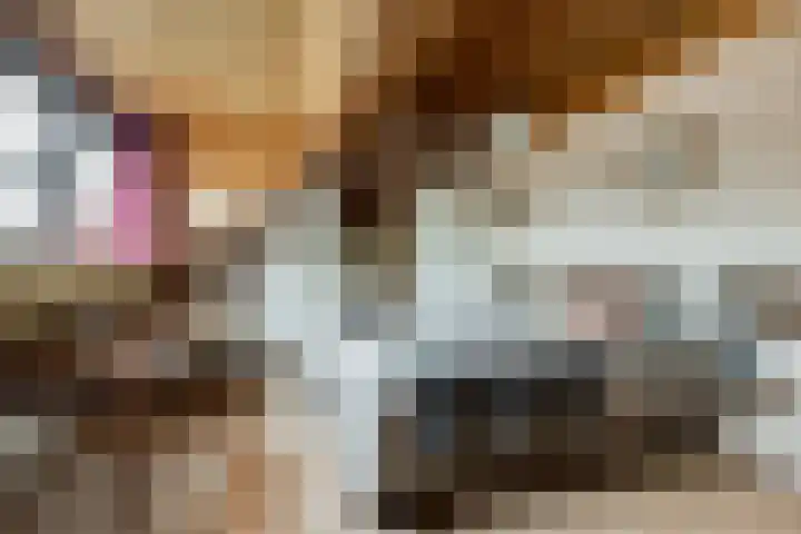 Diamant 5 Berkel en Rodenrijs thumbnail 31