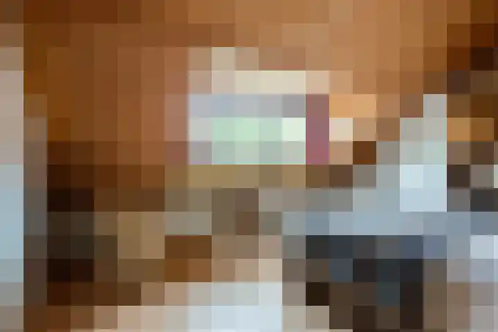 Diamant 5 Berkel en Rodenrijs thumbnail 32