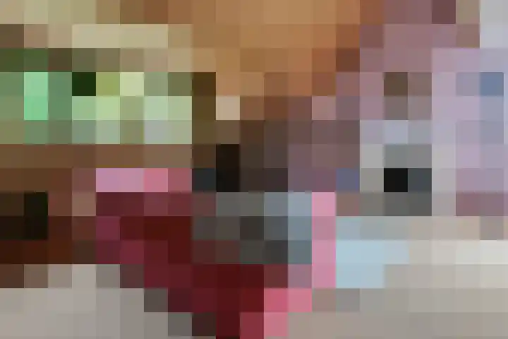 Diamant 5 Berkel en Rodenrijs thumbnail 35