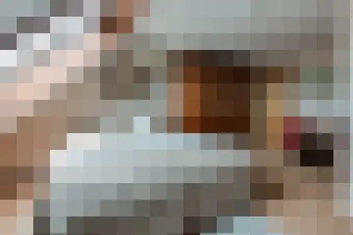 Diamant 5 Berkel en Rodenrijs thumbnail 40