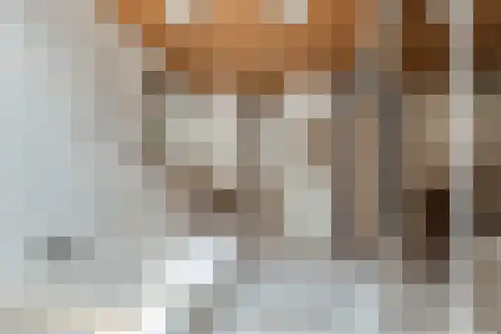 Diamant 5 Berkel en Rodenrijs thumbnail 42