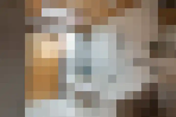 Diamant 5 Berkel en Rodenrijs thumbnail 43