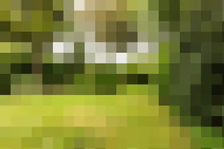 Diamant 5 Berkel en Rodenrijs thumbnail 47