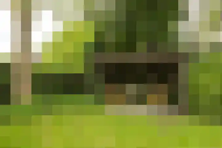 Diamant 5 Berkel en Rodenrijs thumbnail 48