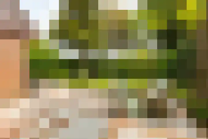 Diamant 5 Berkel en Rodenrijs thumbnail 49