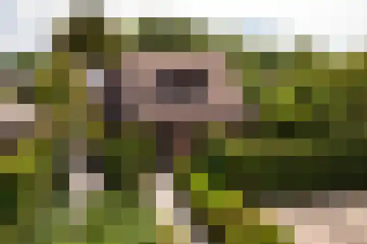 Diamant 5 Berkel en Rodenrijs thumbnail 5
